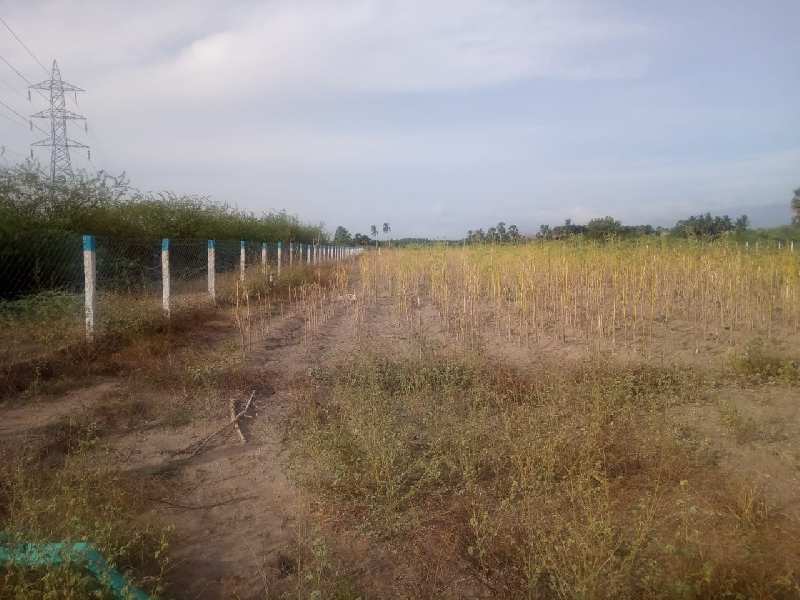 Agriculture Land For Sale In Near Melapalayam,Tirunelveli