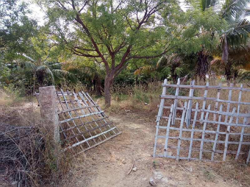 Agriculture Land For Sale In Near Hills Area Kadayanallur,Tenkasi