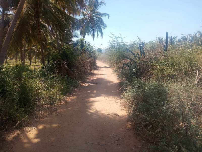 Agriculture Land For Sale In Western Hills Area Kadayanallur,Tenkasi, Tirunelveli, Tamil Nadu