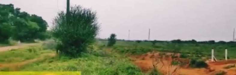 Agricultural land for sale in Tenkasi