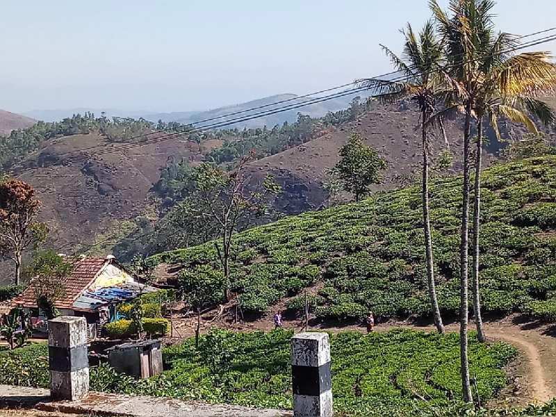 Agriculture Land For Sale In Kumily, Idukki