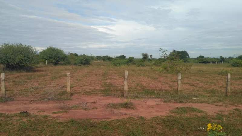 300 Acre Agricultural/Farm Land for Sale in Thoothukudi