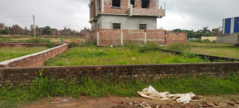 1742 Sq.ft. Agricultural/Farm Land for Sale in Daladili, Ranchi
