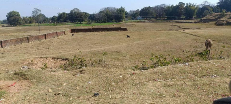 5 Dismil Agricultural/Farm Land for Sale in Tupudana, Ranchi