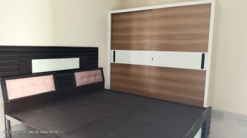 Flats & Apartments for Rent in Bariatu, Ranchi (1540 Sq.ft.)