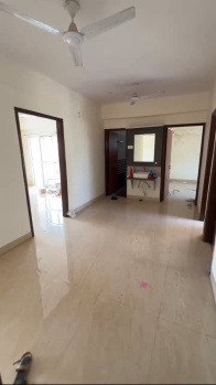 Flats & Apartments for Rent in Kutchery Road, Ranchi (1450 Sq.ft.)