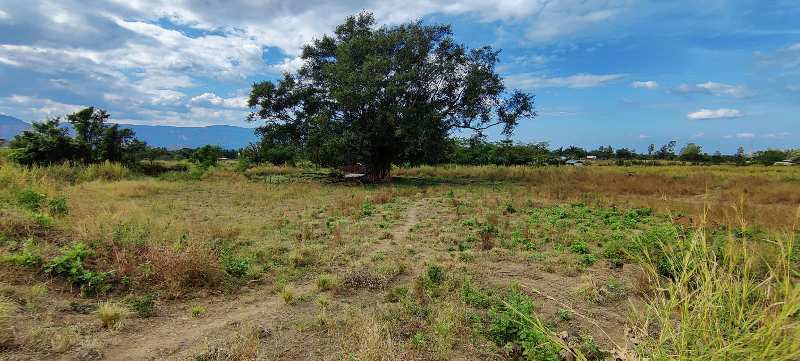 20 Guntha Canaltouch Mountain View Agriculture Land For Sale In Karjat, TATA ROAD.