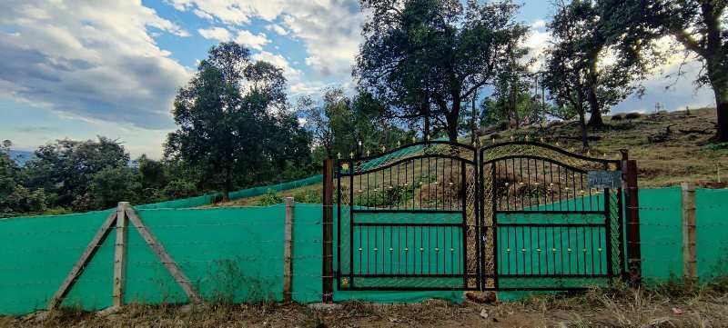 28 Gunthe Road Touch Agriculture Land For Sale In Karjat. trees, Fencing & Gate.