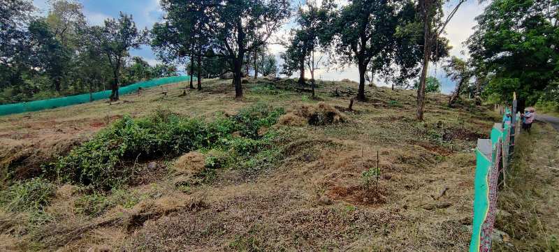 28 Gunthe Road Touch Agriculture Land For Sale In Karjat. trees, Fencing & Gate.