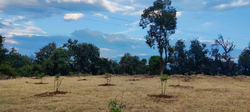 Road Touch Agriculture Land For Sale In Karjat. 52 Guntha with trees, Fencing & Gate.