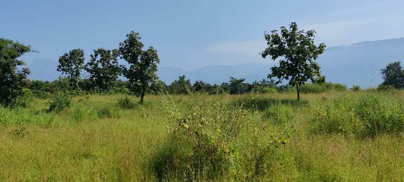 9 Acre Rivertouch land For sale near New Mathetan Project, Nandgaon, Karjat.