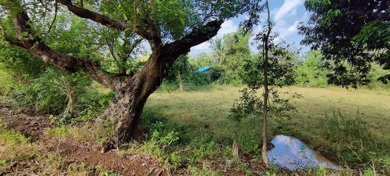 Canal touch 18 Guntha Mountain View Farm land for sale in Karjat.