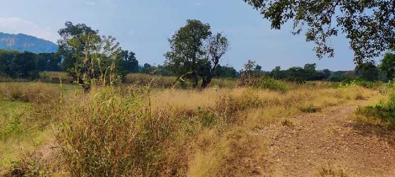 20 Guntha Mountain View Farm land for sale in Karjat.