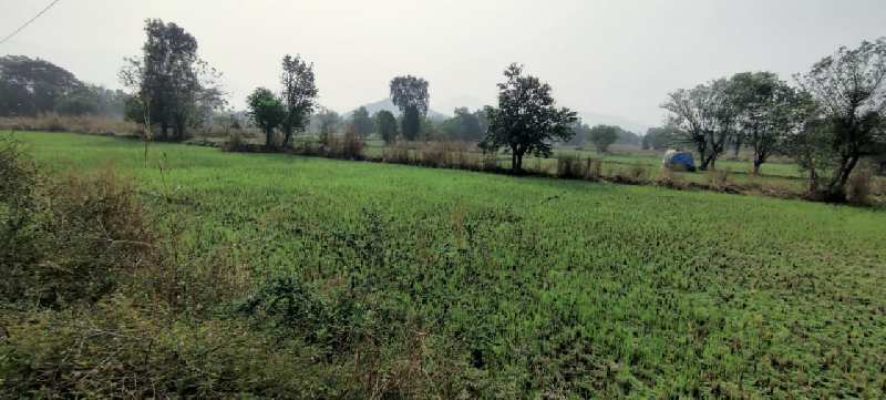 28 Guntha Mountain View Farm land for sale in Karjat.