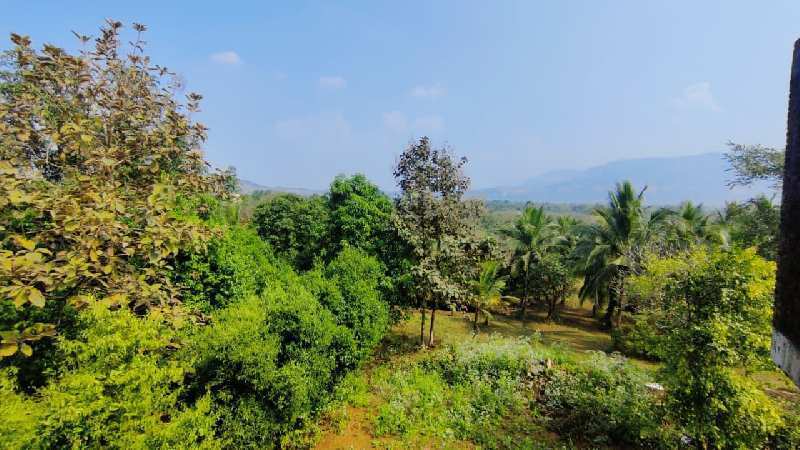 15 Acre Rivertouch & Mountain View Farmhouse For Sale In Karjat.