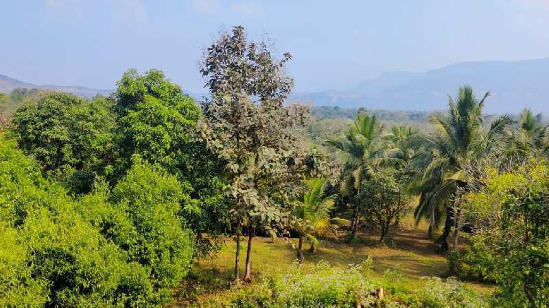 15 Acre Rivertouch & Mountain view Farmhouse for sale in Karjat.