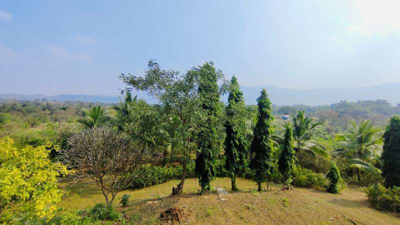 15 Acre Rivertouch & Mountain view Farmhouse for sale in Karjat.