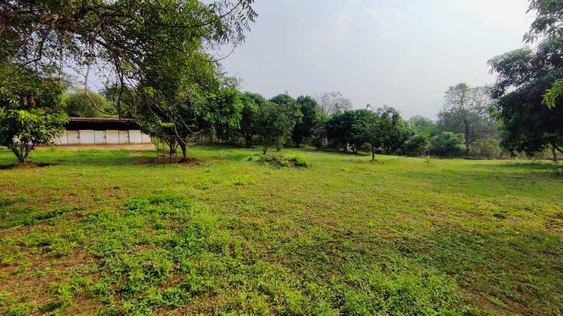 Mountain View 3 acre Farmhouse For Sale In Karjat Near Kadav.