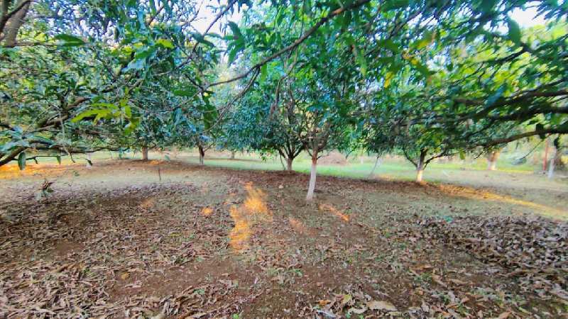 1 Acre ready Farmhouse for sale in Karjat with swimming pool.