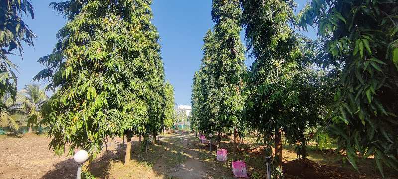 42 Guntha Ready Farmhouse For Sale In Karjat. Trees Compound Boarwell Elctricity.