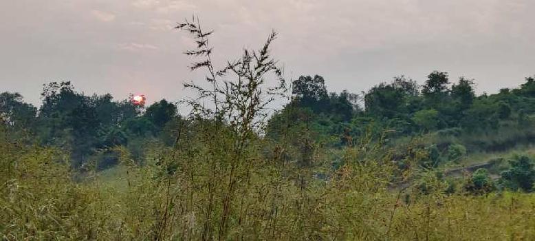 14 Guntha Agriculture Land for sale at Village, Wawarle