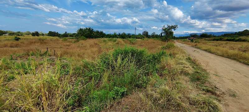 20 Guntha Canaltouch Mountain View Agriculture Land For Sale In Karjat, TATA ROAD.