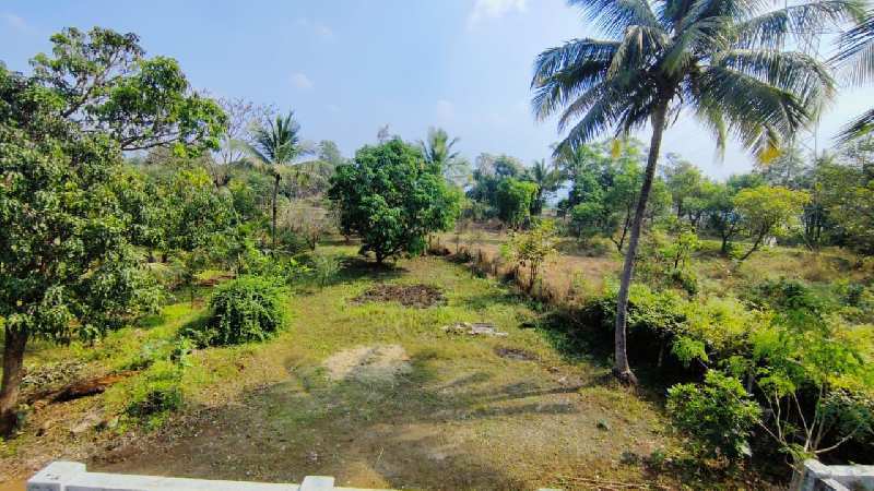2bhk Farmhouse In 4 Acre Land for sale in Karjat With Big Trees.