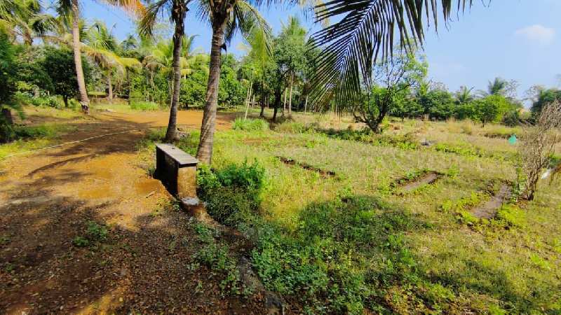 2bhk Farmhouse In 4 Acre Land for sale in Karjat With Big Trees.