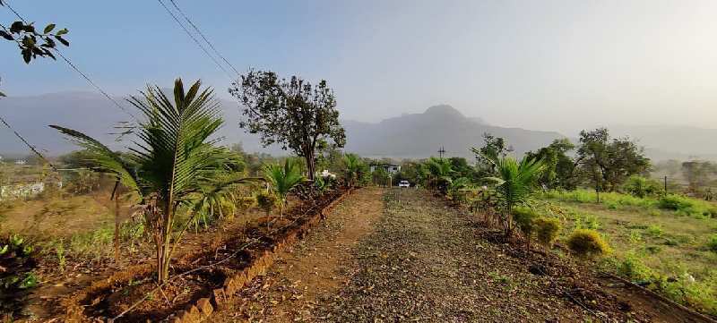 360 Degree Mountain, Valley & Waterfall view 4 Acre agriculture land for sale in Karjat.  On Top Of the mountain. 360° Mountain View. Waterfall & Valley View. Moutain Touch.   _During monsoon, this place turns into an enormous green landscape with mo