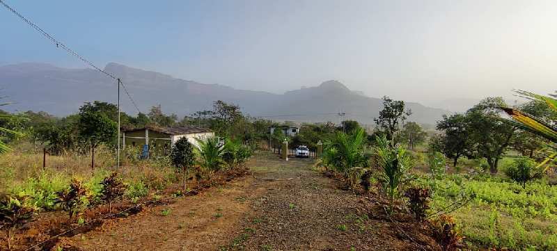 360 Degree Mountain, Valley & Waterfall view 4 Acre agriculture land for sale in Karjat.  On Top Of the mountain. 360° Mountain View. Waterfall & Valley View. Moutain Touch.   _During monsoon, this place turns into an enormous green landscape with mo
