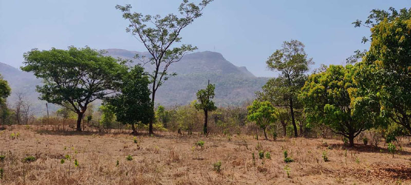 Moutain & waterfall view 3.75 Acre Farmhouse for sale in Karjat.