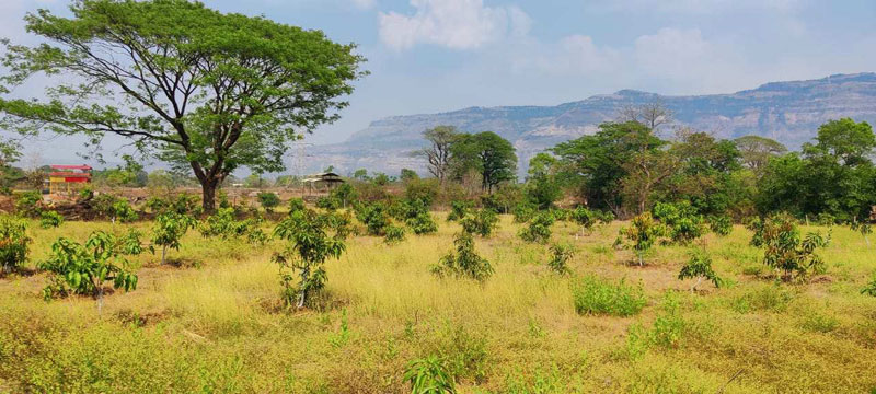 River touch 9.5 acre Mountain & Waterfall view  land with trees for sale in Karjat.