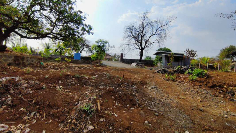 32 Gunthe Mountain View Farmhouse Land with trees for sale at village Bhaliwadi, Karjat.