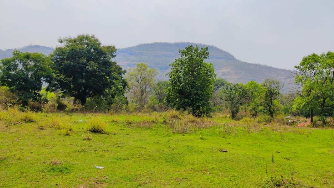 Waterfall, Mountains, Fog & Forest view 2 acre agriculture land for sale at Karjat.