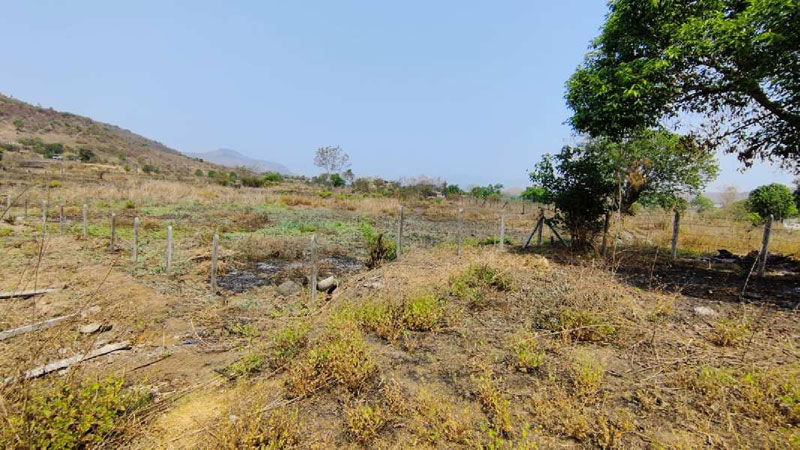 Moutain & Waterfall View 8.5 Acre 1:1 FSI Land for sale in KARJAT.