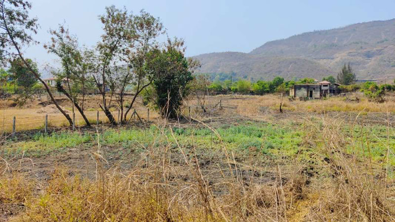 Moutain & Waterfall View 8.5 Acre 1:1 FSI Land for sale in KARJAT.