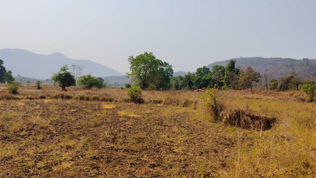 Mountain & waterfall view 2.5 Acre Agriculture land for sale in Karjat.