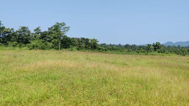 14 Acre Agriculture land For sale near New Mathetan Project, Nandgaon, Karjat.