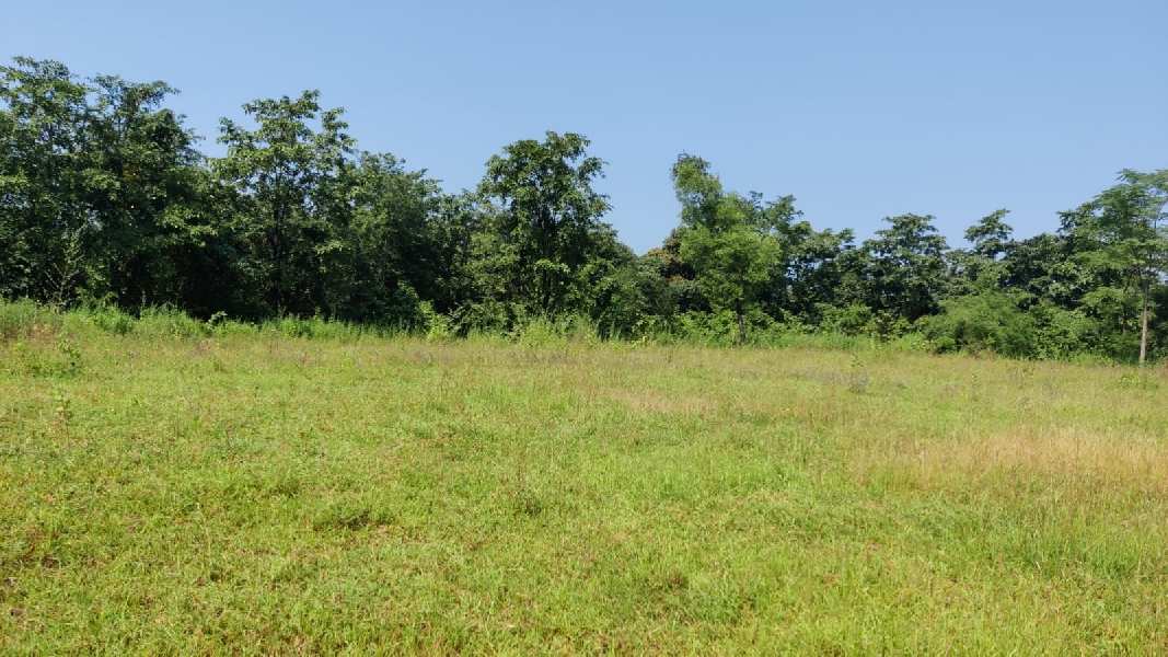 14 Acre Agriculture land For sale near New Mathetan Project, Nandgaon, Karjat.