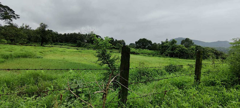 3.5 Acre NA land for sale 4km from ND Studio Karjat.