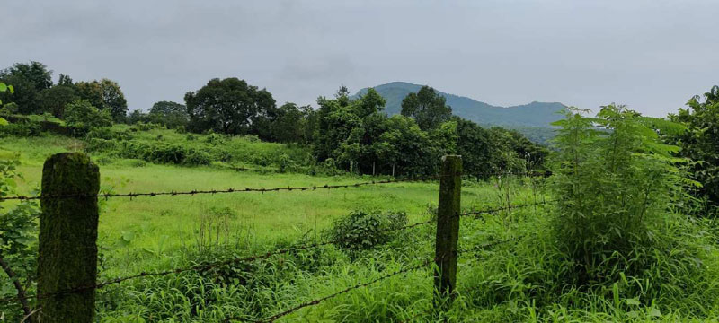 3.5 Acre NA land for sale 4km from ND Studio Karjat.