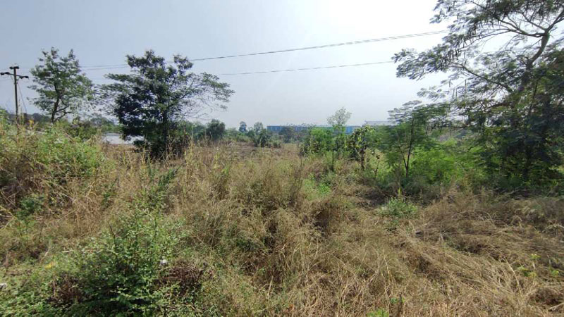 5.5 Acre Agricultural/Farm Land for Sale in Khalapur, Navi Mumbai