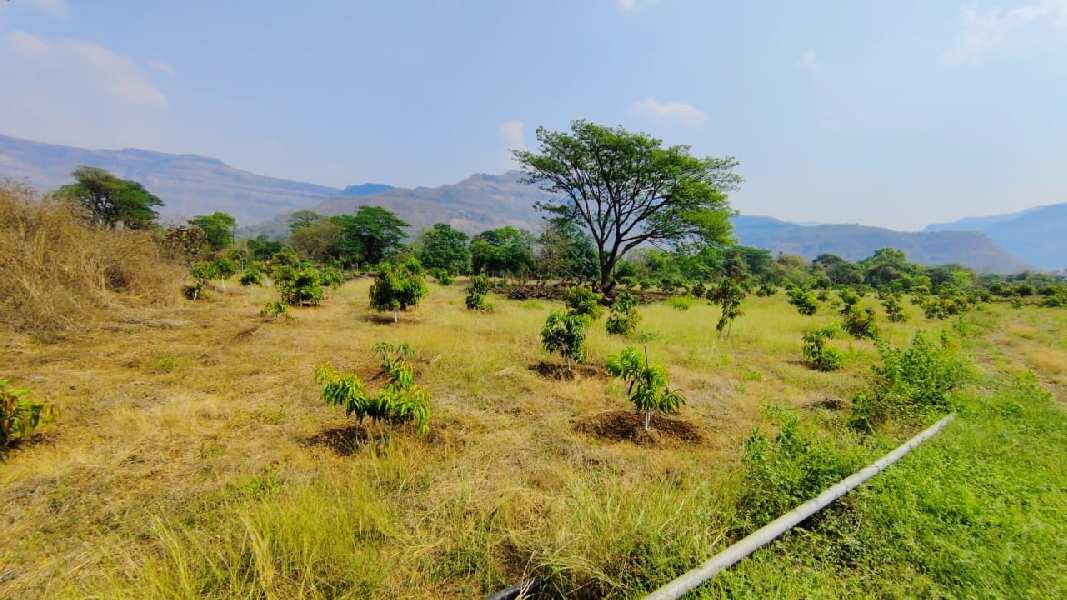 River touch 9.5 acre Mountain & Waterfall view  land with trees for sale in Karjat.
