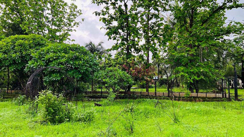 4 Acre agriculture land with trees & Compound for sale at TATA Road, Karjat.