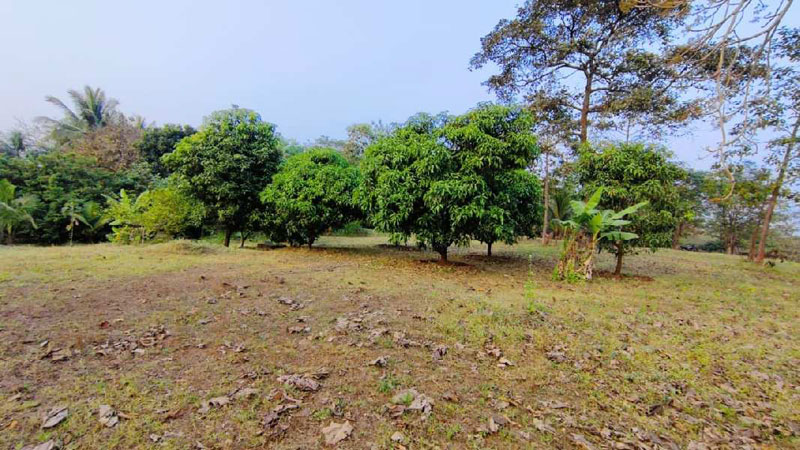 12 months flowing Rivertouch 2 Acre ready Farmhouse for sale in Karjat.