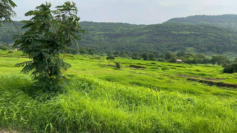 River & mountains view 1 acre farmhouse for sale in Karjat.