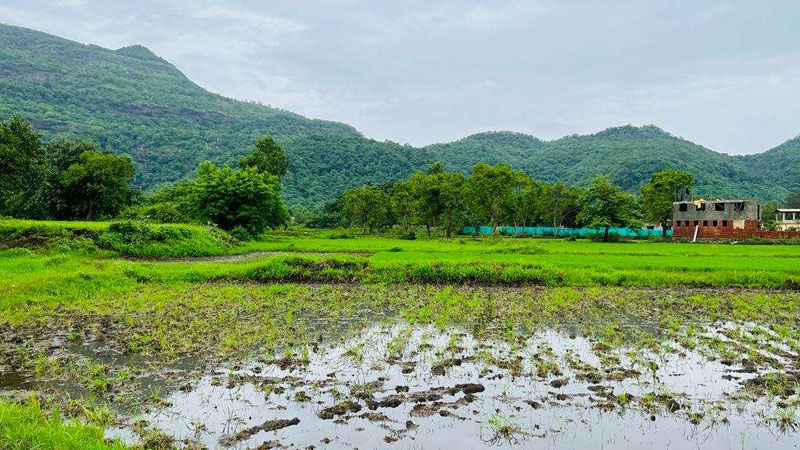 waterfall, Mountains, Fog & Forrst view 18 acre agriculture land for sale at Karjat.