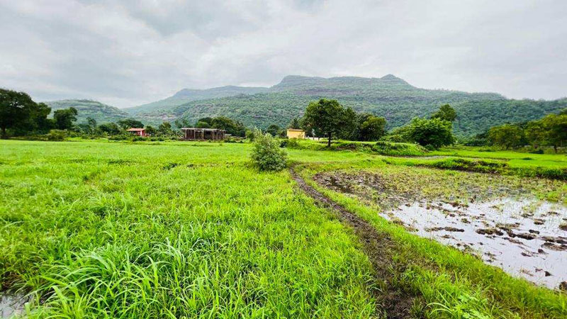 waterfall, Mountains, Fog & Forrst view 18 acre agriculture land for sale at Karjat.