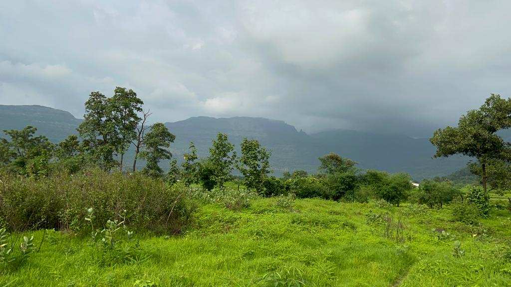 River View 1:1 FSI 21 acre land for sale in Karjat.