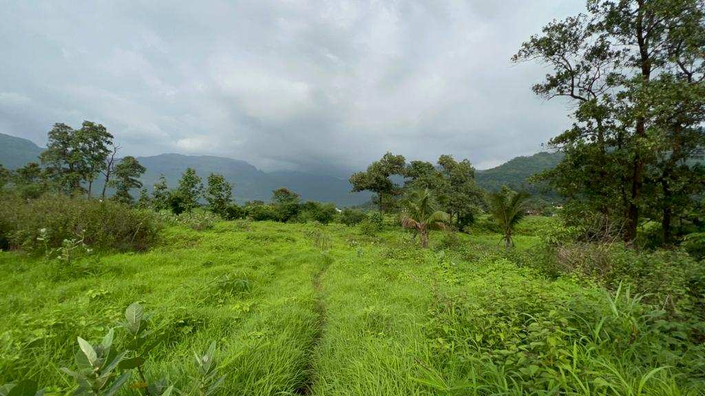 River View 1:1 FSI 21 acre land for sale in Karjat.